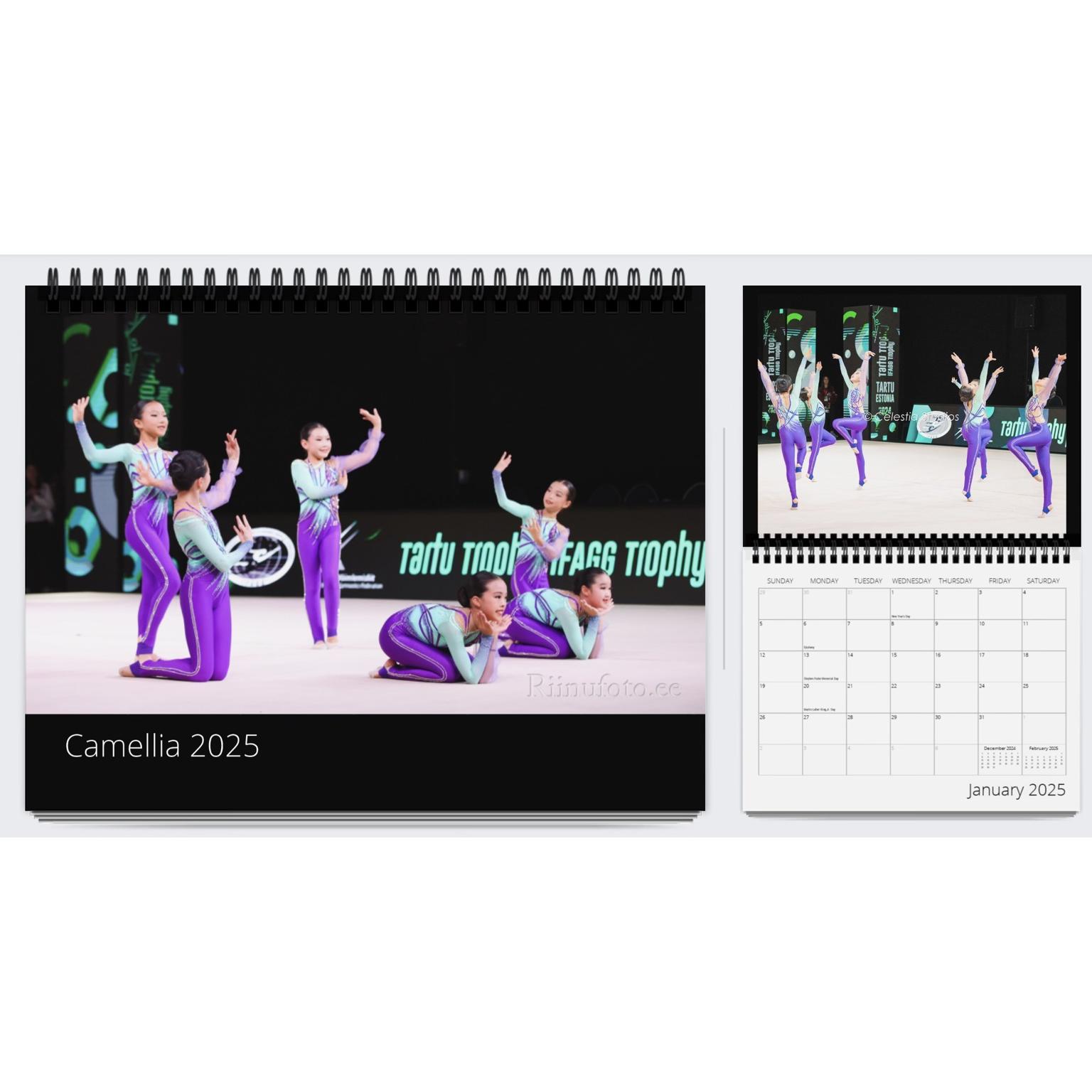 Raffle ticket:
If you win the raffle, you will receive a 2026 Calendar with pictures of your team
